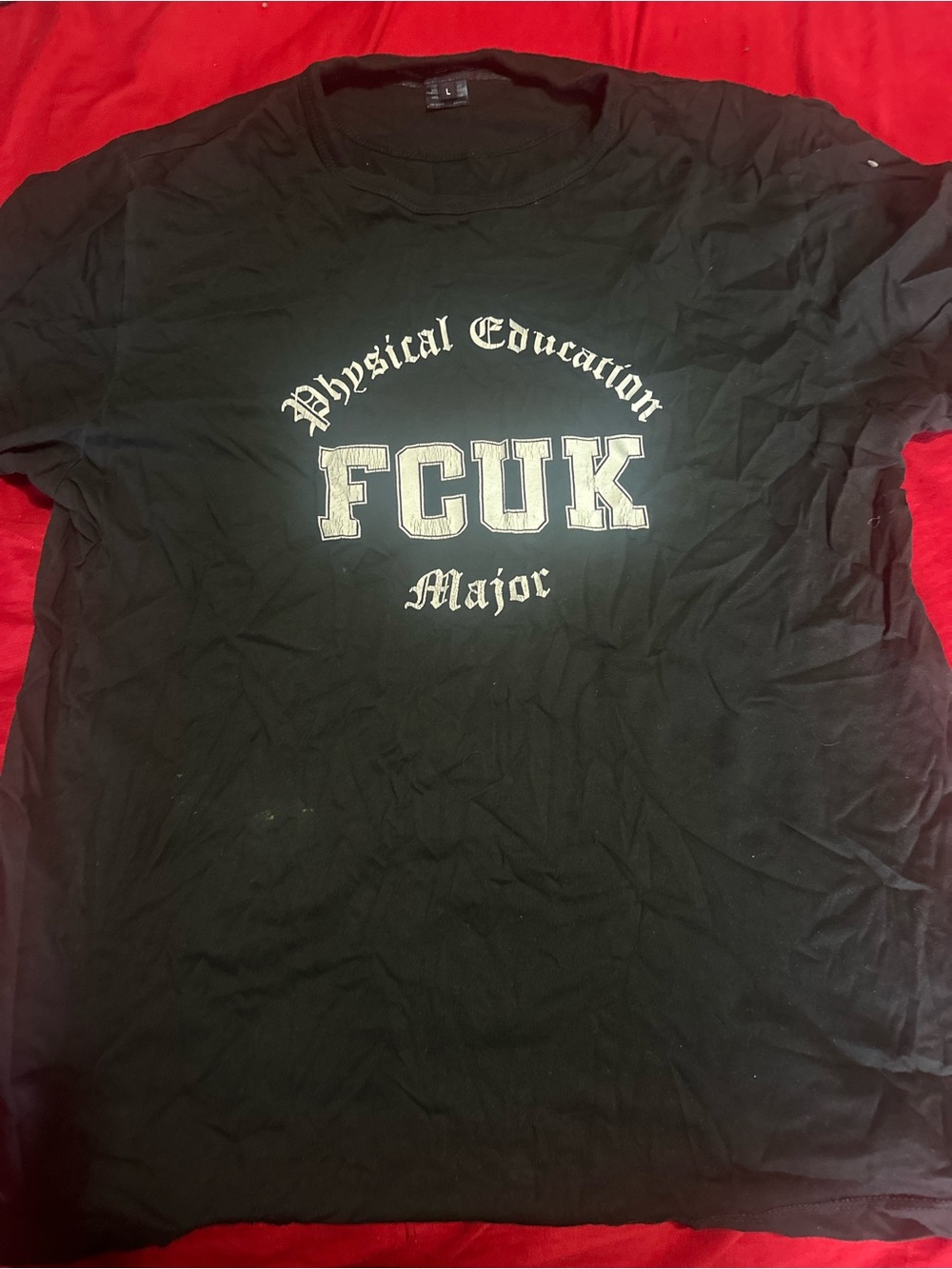 FCUK Physical Education Major Black Large Graphic Tee with tiny stain as seen